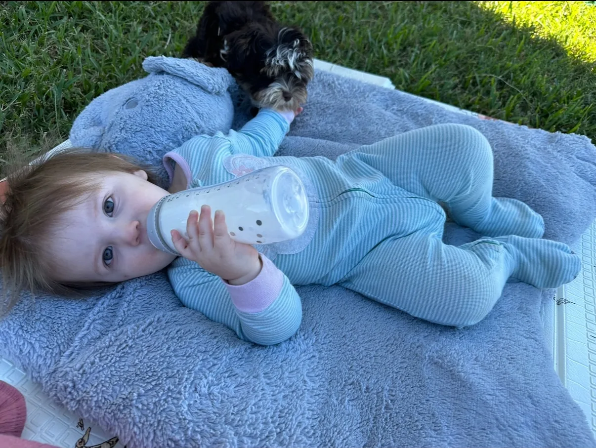 A baby relaxing on a blanket beside a black-and-white Havanese puppy