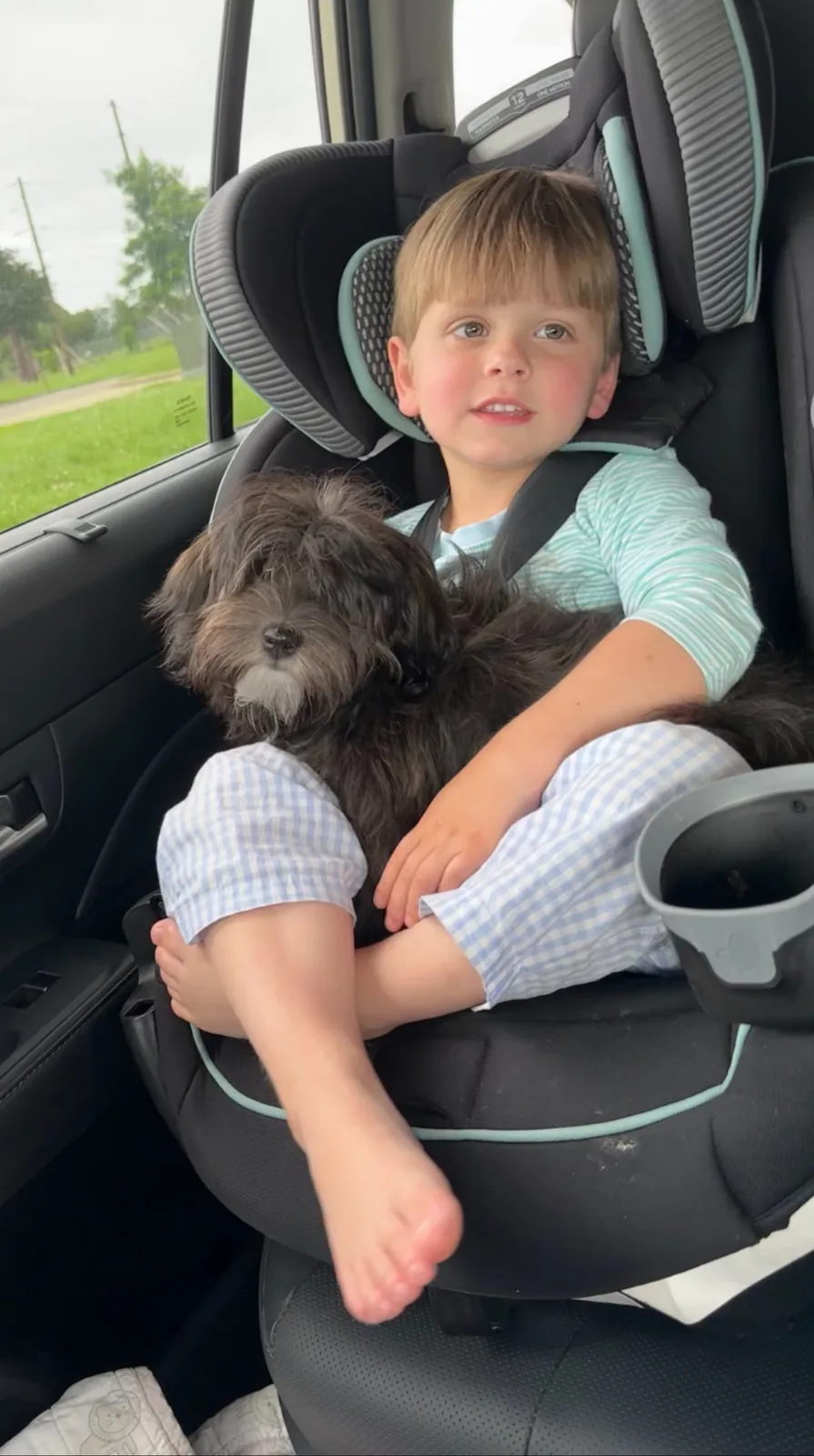 A child riding in the car with a dark-coated Havanese puppy