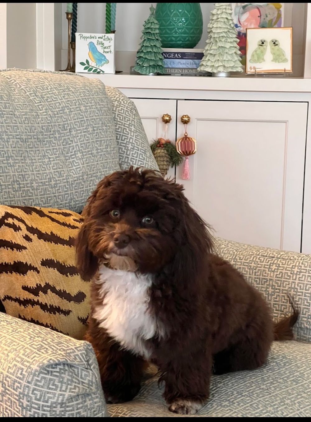 Dog photo shared with ricky ben’s Google review