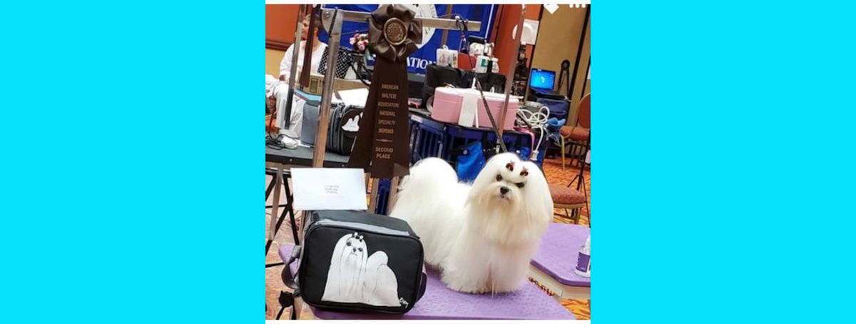 Southern Silks family, puppies, and program history