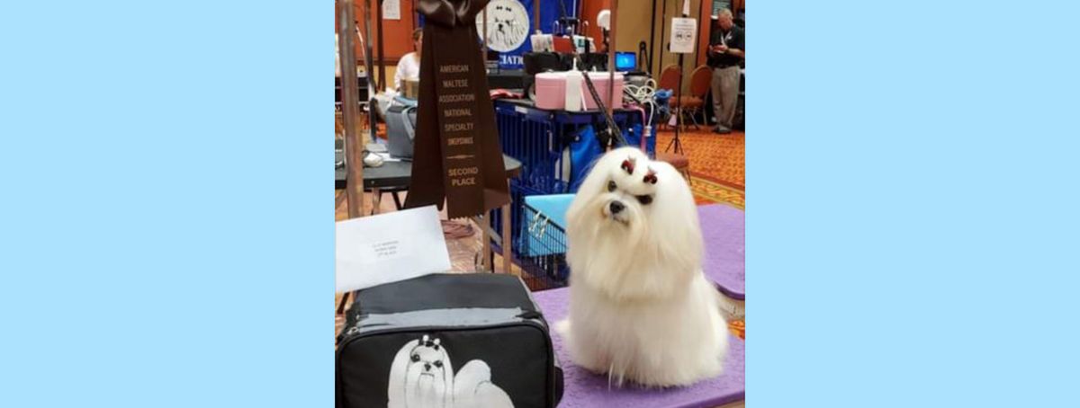 Southern Silks family, puppies, and program history