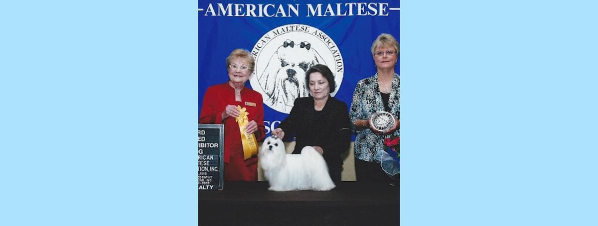 Southern Silks family, puppies, and program history