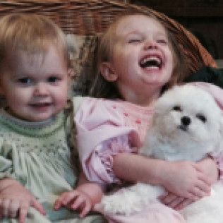 Jolie, Tasha, and Jean Claire from the Southern Silks Maltese Doll Collection