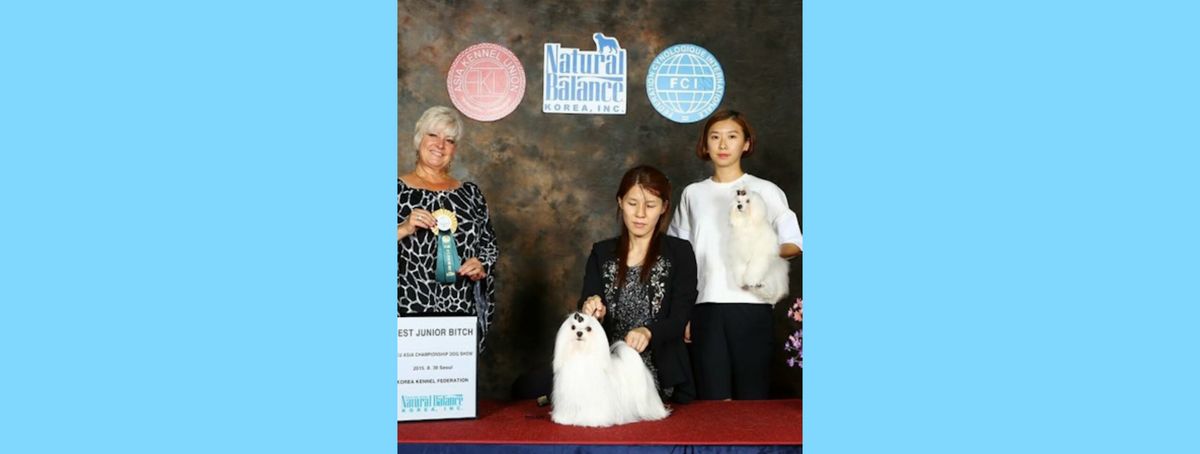 Southern Silks family, puppies, and program history