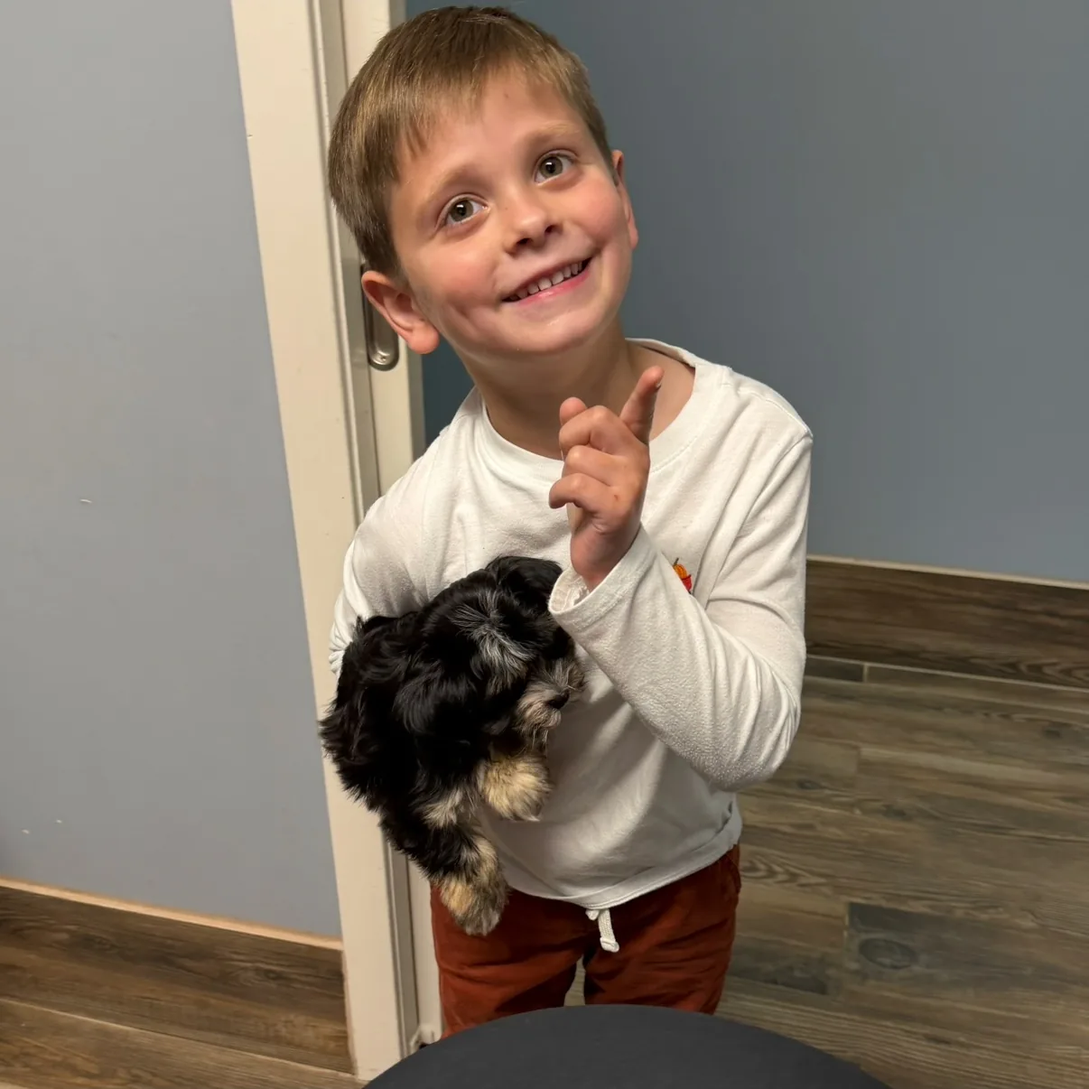 A child proudly holding a black Havanese puppy indoors