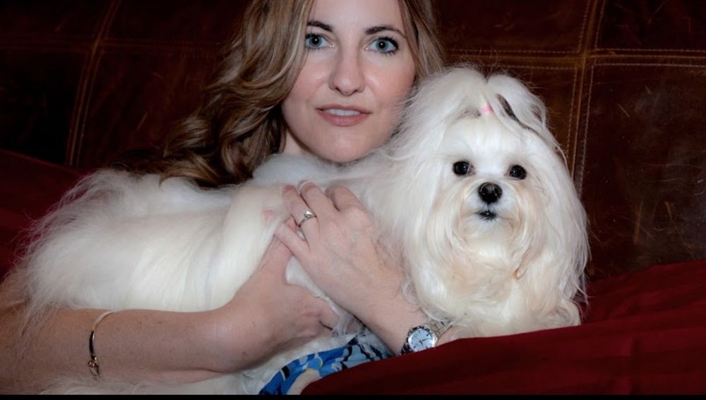 Dog photo shared with David Turko’s Google review